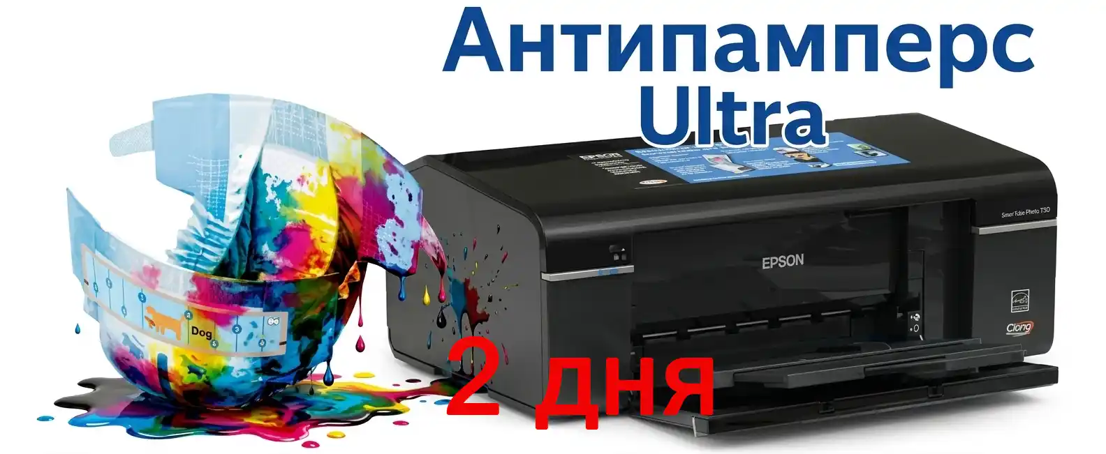 Epson Reset and Maintenance